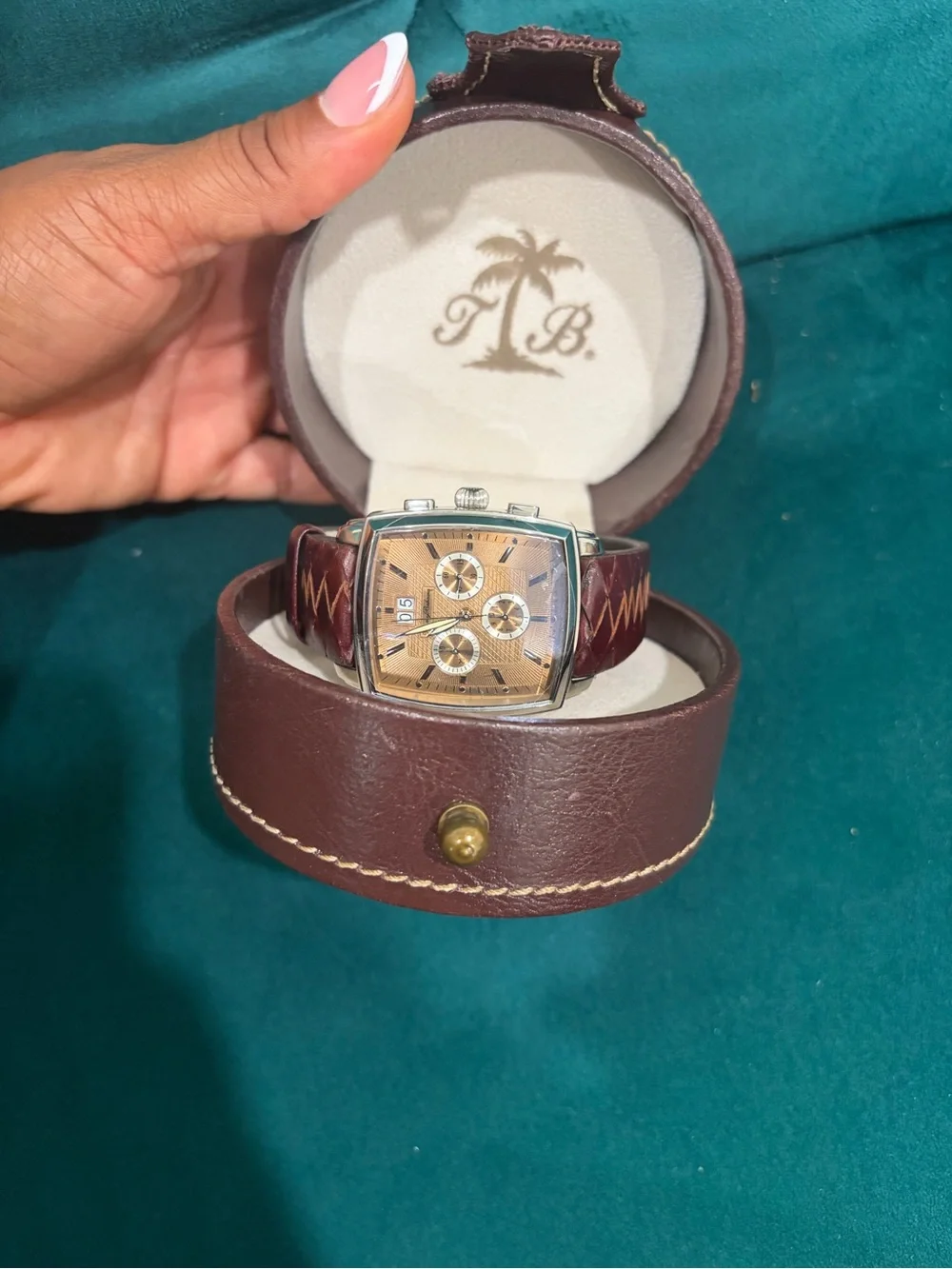 Brown Leather Chronograph Watch with Silver Case - Brand
